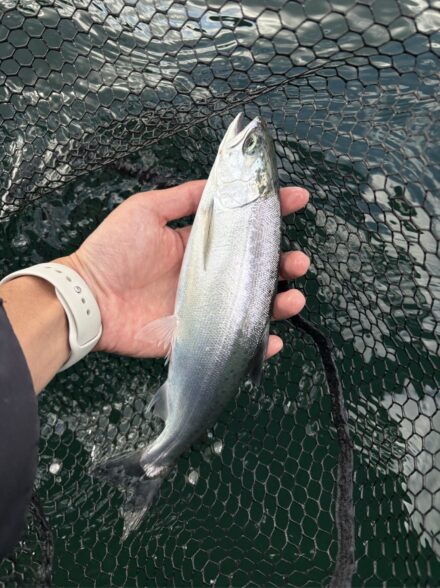 芦ノ湖 キャスティングとジギングでトラウト