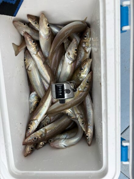 進丸 午後キス④