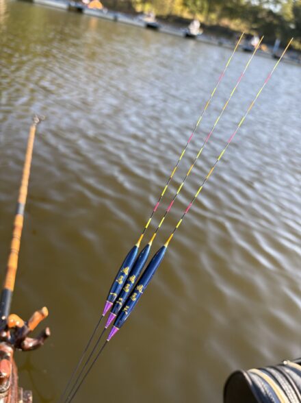 ワイワイクラブ2025最終例会!