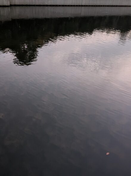 大阪湾岸チニング12月2日