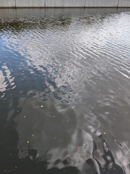 大阪湾岸チニング12月4日