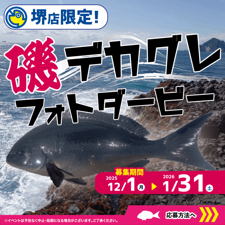 【堺店限定！】磯デカグレフォトダービー！