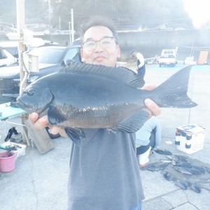 初釣り、串本の磯グレ釣行