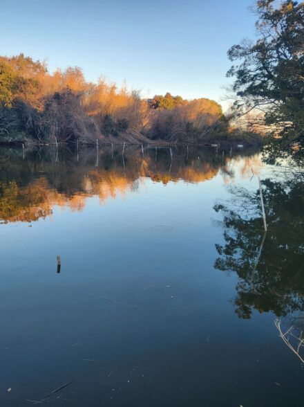 大寒波の道仙田