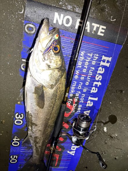 久しぶりの多摩川ウェーディング