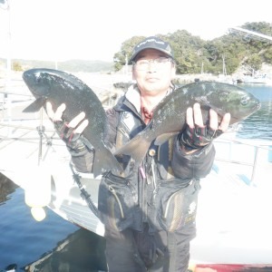 串本出雲崎のグレ、いい感じです。