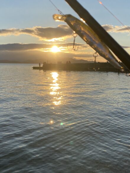 聖地巡礼！西岸ハードベイトアタック⑧釣り納め年越し編