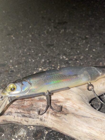 琵琶湖巡礼！北湖アタック②”Make or break” 痛恨編