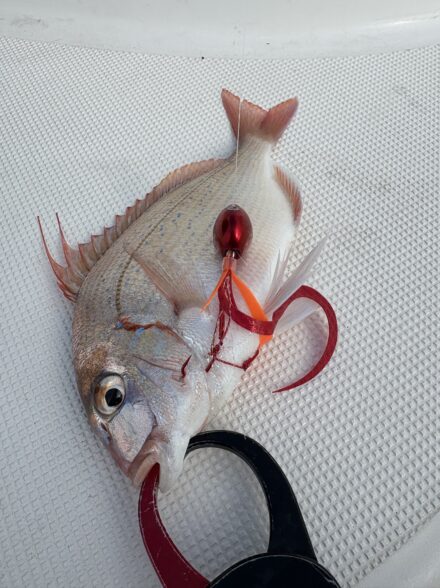 2026年タイラバはじめ