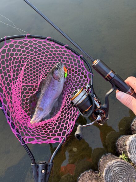 王禅寺で初詣！