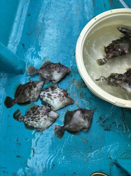 和歌山　かるも丸　釣行