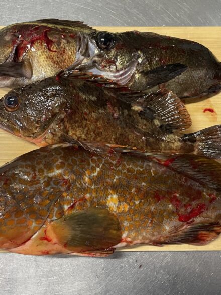 新年ライトゲーム