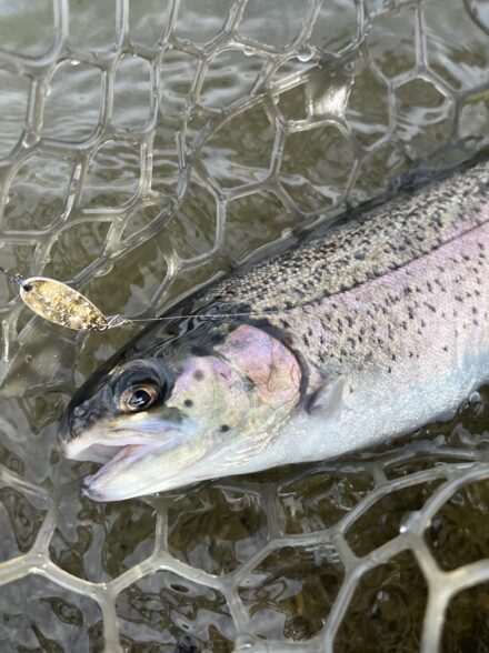高田釣行便 北方マス釣り場②