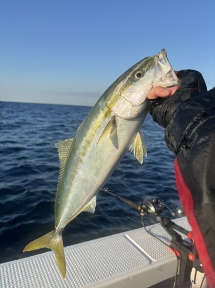 釣り納めに青物爆釣𝙸𝙽千代丸