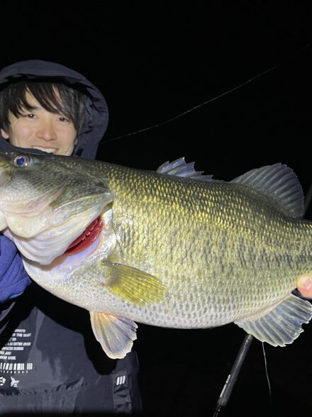 藤本釣行便バス釣り編in琵琶湖