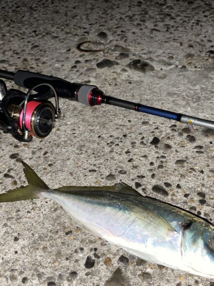 2026年初釣りは和歌山方面アジングへ🎣