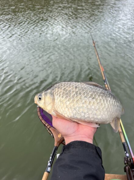 厳寒期のヘラブナ釣り