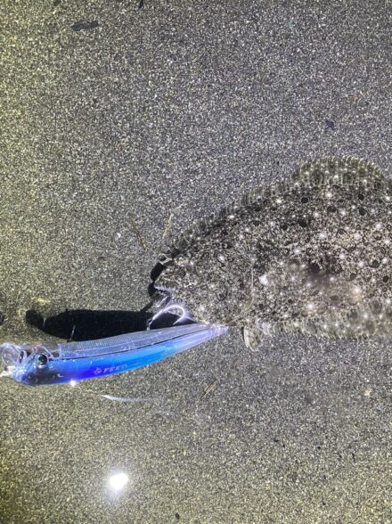 サーフゲームin相模川河口