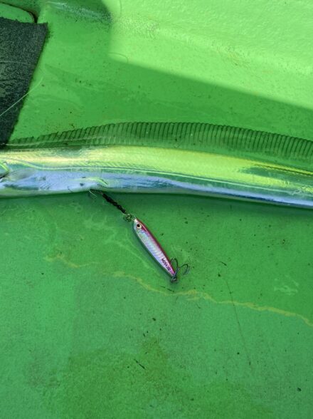 タチウオジギングin渡辺釣船店