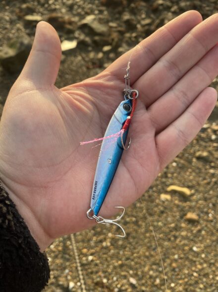 シーバスボイルを求めて(境水道)