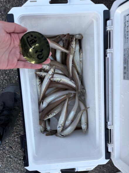 冬でも好調！ 進丸午後キス⑤