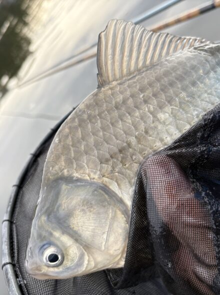 初釣り！ワイワイクラブ20261月例会！