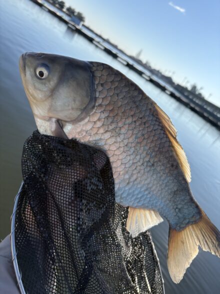 爆風の椎の木湖！