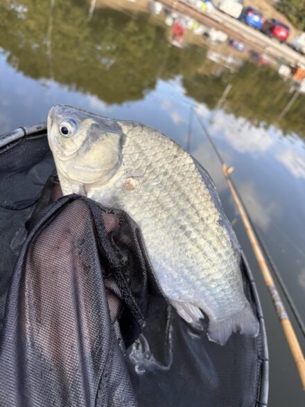 TEAM韋駄天1月例会in三楽園！