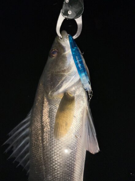 多摩川バチ抜け開幕戦！