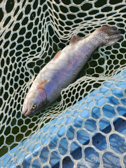 皆でしらこばと水上公園