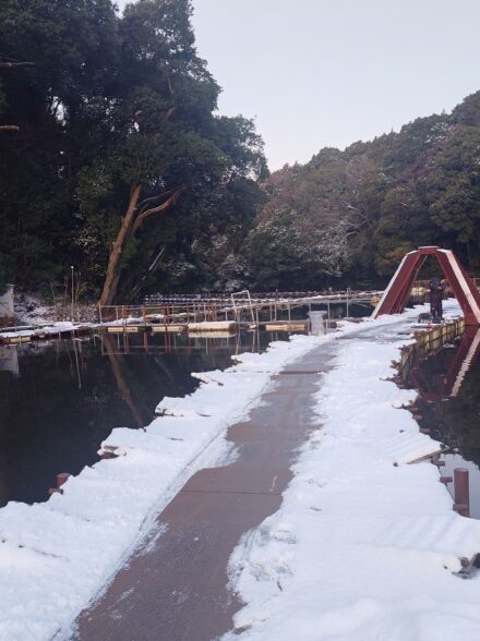 .M-1ラスト試釣!