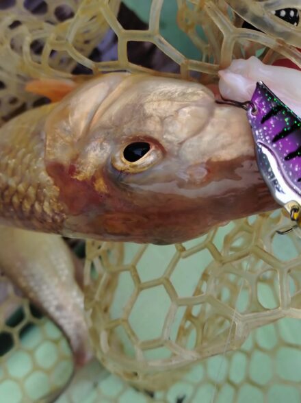 最高気温15℃予報の2月の東条湖