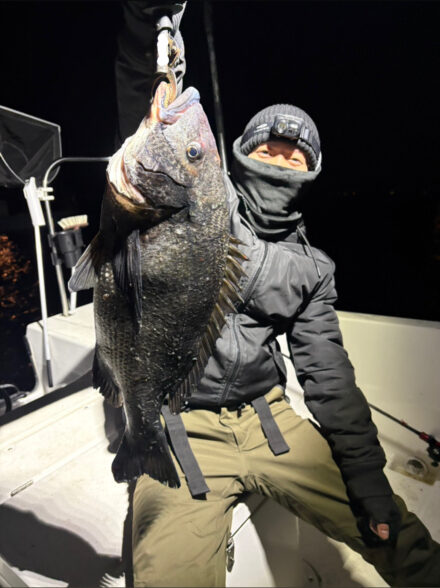 伊勢湾ボートチヌジギング、リベンジ!