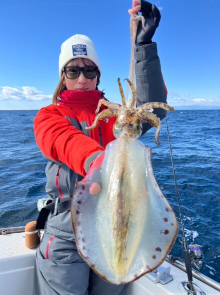 志摩沖🦑ティップラン