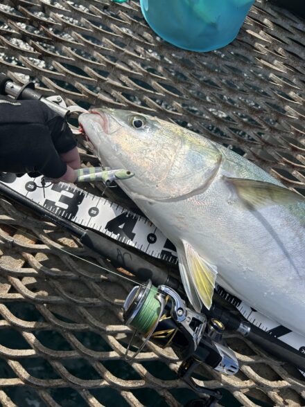 今年初のショアジギングに行ってきました！