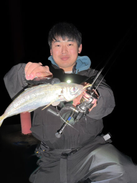 和歌山アジング