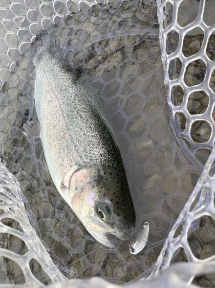 へら師が行くエリアトラウトの旅！加賀フィッシングエリア編②