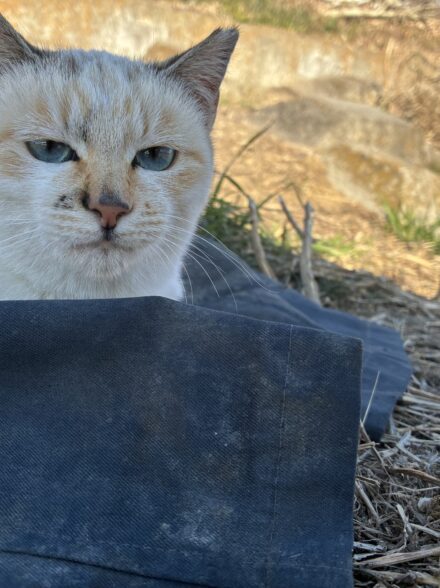 価値ある一本を狙いに！