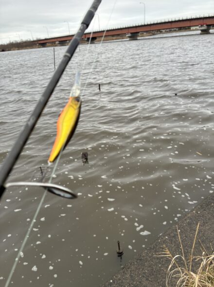 爆風の霞ヶ浦水系!