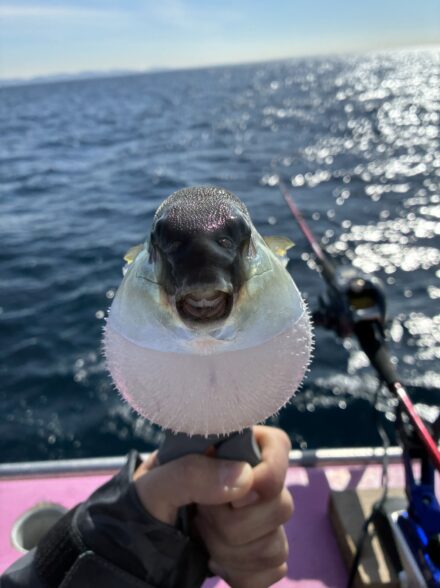 今季ラスト?アマダイ釣行!