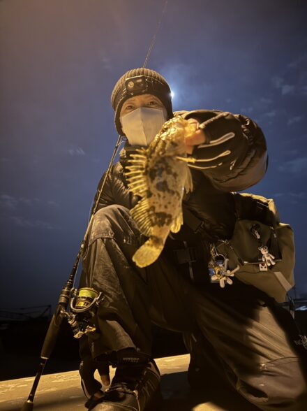 真冬のライトゲーム