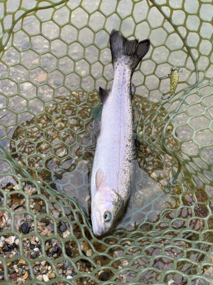 フィッシングキャンプエリア瑞浪