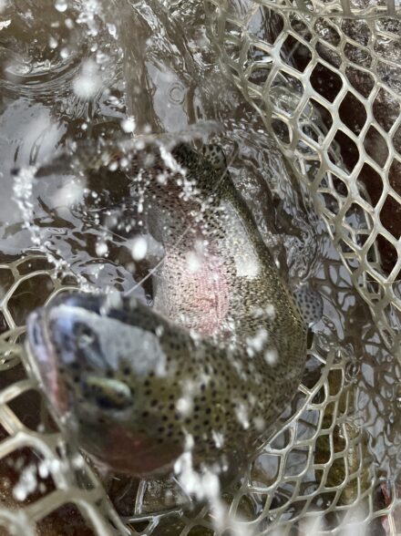 高田釣行便 すそのフィッシングパーク2