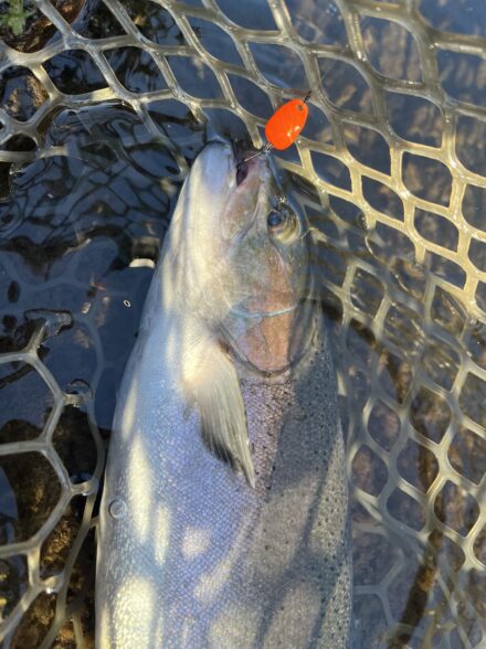 高田釣行便 すそのフィッシングパーク3