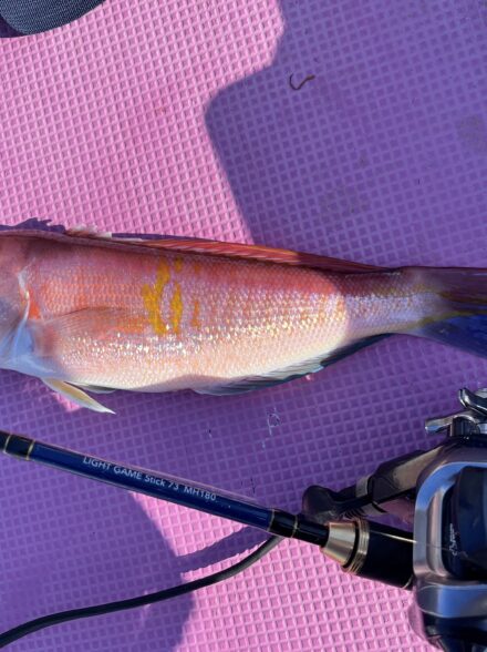 沖右衛門丸〜アマダイに挑戦！！