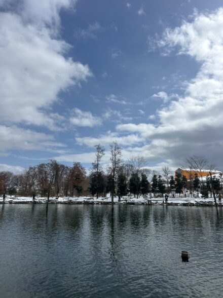 久々のエリアトラウト