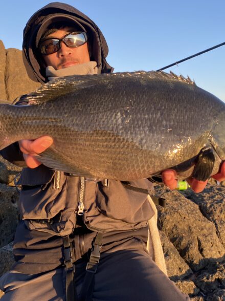 和歌山　地磯グレ