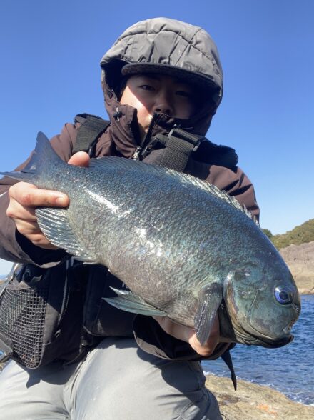 和歌山　地磯グレDay2