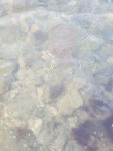 2026 浜名湖チニング初め