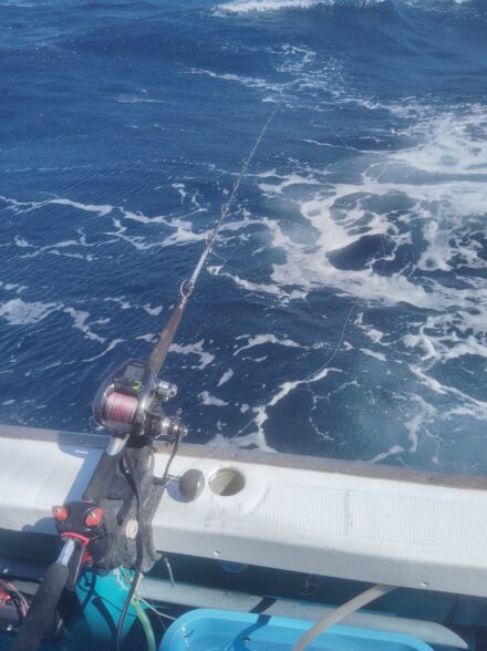 代々丸さんでジギング＆ノマセ釣り混合便！